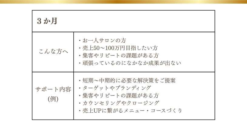 コンサルLP (2)