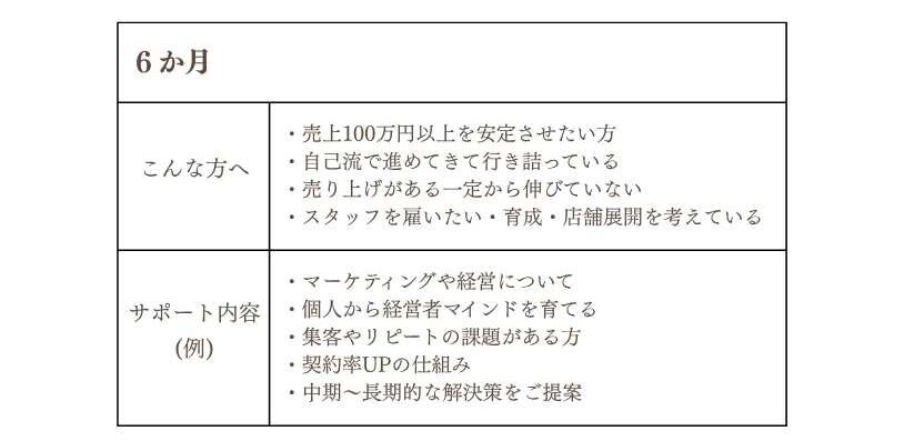 コンサルLP (2)