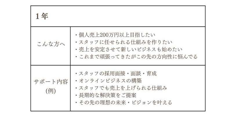 コンサルLP (2)